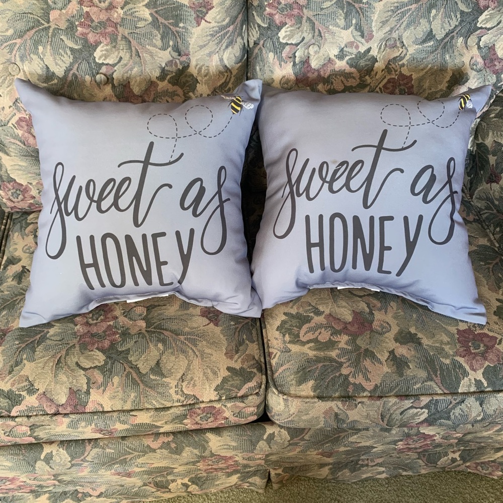 Sweet as Honey Decorative Throw Pillows NEW - Picture 3 of 3